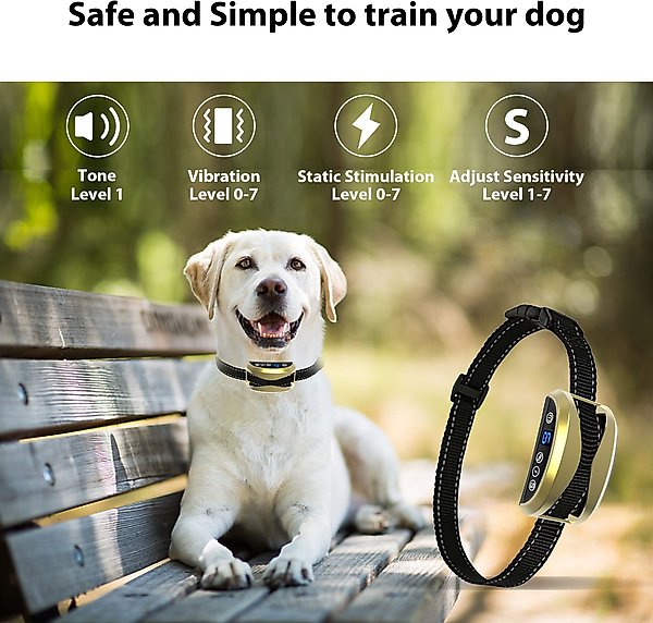 Show full view: Petdiary Rechargeable Static Dog Bark Collar, Gold slide 2 of 8