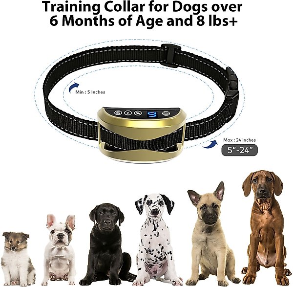 Show full view: Petdiary Rechargeable Static Dog Bark Collar, Gold slide 6 of 8