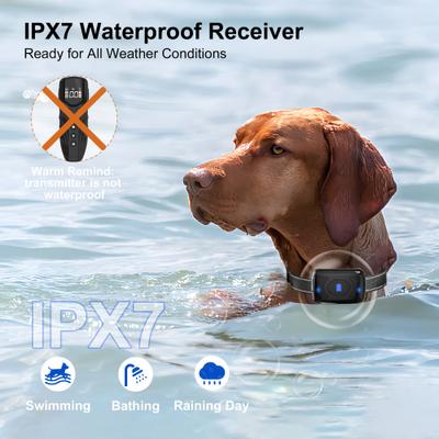 Show full view: Petdiary 2000-ft Range Vibrating IPX7 Waterproof with Remote No Shock Dog Training Collar, Medium, Black slide 5 of 9