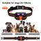 Show in main carousel: Petdiary 2600-ft Waterproof Remote Shock eCollar Dog Training Collar, Medium, Black slide 8 of 10