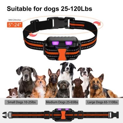 Show full view: Petdiary 2600-ft Waterproof Remote Shock eCollar Dog Training Collar, Medium, Black slide 8 of 10