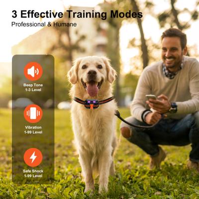 Show full view: Petdiary 2600-ft Waterproof Remote Shock eCollar Dog Training Collar, Medium, Black slide 2 of 10