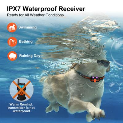 Show full view: Petdiary 2600-ft Waterproof Remote Shock eCollar Dog Training Collar, Medium, Black slide 5 of 10