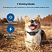 Show in main carousel: Petdiary B300 Dog Bark Control Collar, Black slide 2 of 10