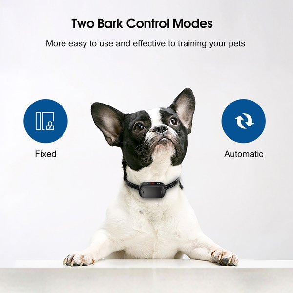 Show full view: Petdiary B300 Dog Bark Control Collar, Black slide 3 of 10