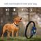 Show in main carousel: Petdiary B320 Rechargeable Static Dog Bark Collar, Blue, Small slide 2 of 9