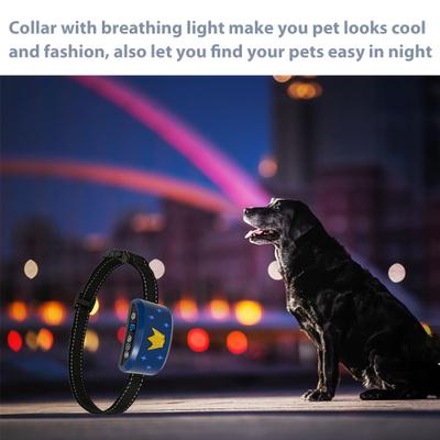 Show full view: Petdiary B320 Rechargeable Static Dog Bark Collar, Blue, Small slide 3 of 9