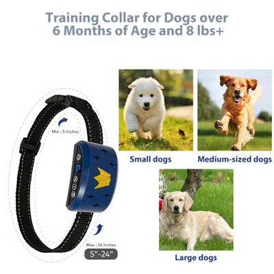 Show full view: Petdiary B320 Rechargeable Static Dog Bark Collar, Blue, Small slide 6 of 9