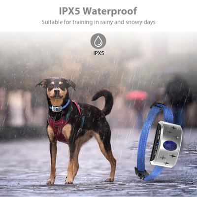 Show full view: Petdiary B340 Rechargeable Dog Bark Collar, Small, Silver slide 4 of 9