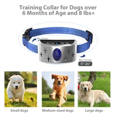 Show full view: Petdiary B340 Rechargeable Dog Bark Collar, Small, Silver slide 5 of 9
