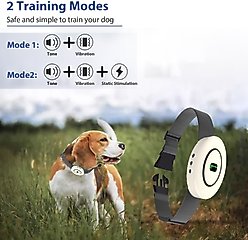 Petdiary B360 Rechargeable Static Dog Bark Collar, White, Small slide 2 of 8