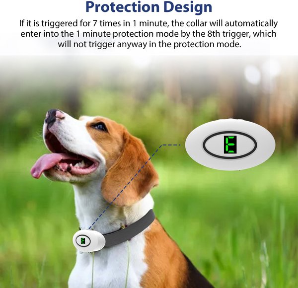 Show full view: Petdiary B360 Rechargeable Static Dog Bark Collar, White, Small slide 3 of 9