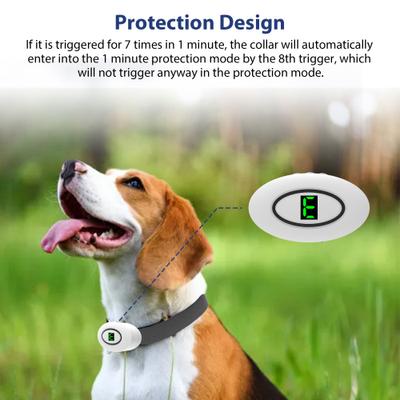 Show full view: Petdiary B360 Rechargeable Static Dog Bark Collar, White, Small slide 3 of 9