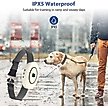 Show in main carousel: Petdiary B360 Rechargeable Static Dog Bark Collar, White, Small slide 4 of 9