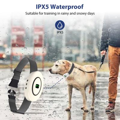 Show full view: Petdiary B360 Rechargeable Static Dog Bark Collar, White, Small slide 4 of 9