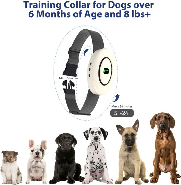 Show full view: Petdiary B360 Rechargeable Static Dog Bark Collar, White, Small slide 6 of 9