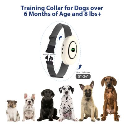 Show full view: Petdiary B360 Rechargeable Static Dog Bark Collar, White, Small slide 6 of 9