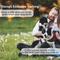 Show in main carousel: Petdiary B600 Waterproof Dog Bark Collar, Black slide 3 of 11