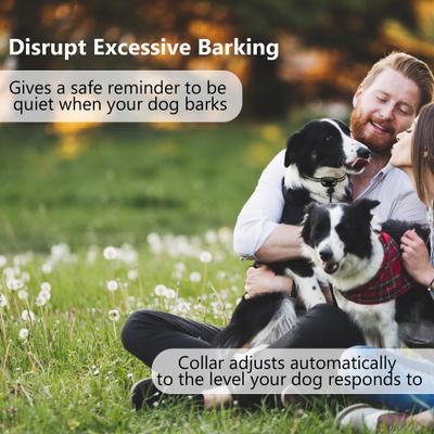 Show full view: Petdiary B600 Waterproof Dog Bark Collar, Black slide 3 of 11