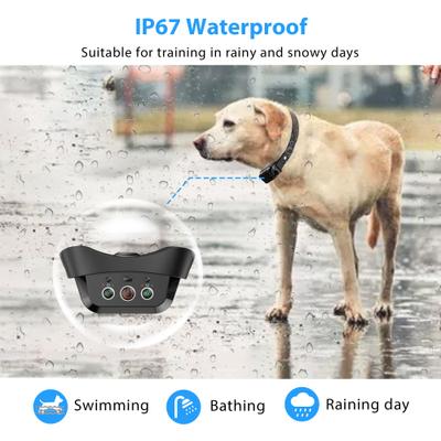 Show full view: Petdiary Deterrent Dog Spray collar with Spray Refill, Black slide 3 of 10