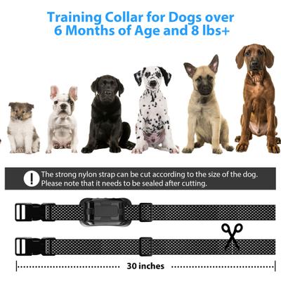 Show full view: Petdiary Deterrent Dog Spray collar with Spray Refill, Black slide 8 of 10