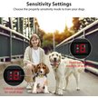 Show in main carousel: Petdiary "I Heart My Dog" Dog Bark Control Collar, Black slide 4 of 10