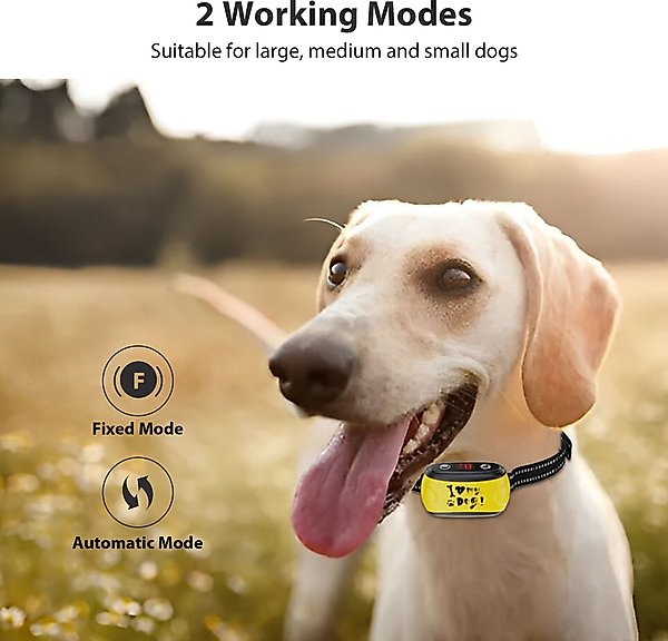 Show full view: Petdiary "I Heart My Dog" Dog Bark Control Collar, Black slide 5 of 10