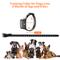 Show in main carousel: Petdiary Rechargeable Advanced Remote Dog Trainer Accessory, Black, Large slide 8 of 10