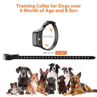 Show full view: Petdiary Rechargeable Advanced Remote Dog Trainer Accessory, Black, Large slide 8 of 10