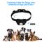 Show in main carousel: Petdiary Rechargeable Advanced Remote Training Dog Collar, Black/Silver, Medium slide 5 of 10