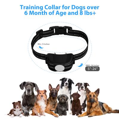 Show full view: Petdiary Rechargeable Advanced Remote Training Dog Collar, Black/Silver, Medium slide 5 of 10