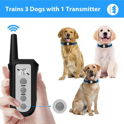 Show full view: Petdiary Rechargeable Advanced Remote Training Dog Collar, Black/Silver, Medium slide 6 of 10