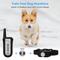 Show in main carousel: Petdiary Rechargeable Advanced Remote Training Dog Collar, Black/Silver, Medium slide 7 of 10