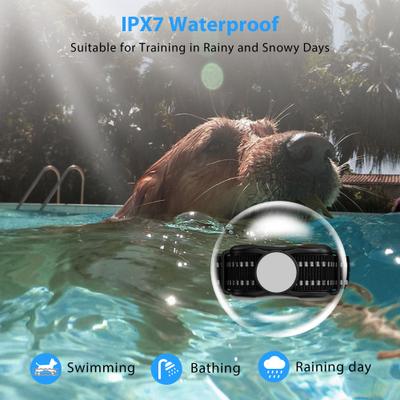 Show full view: Petdiary Rechargeable Advanced Remote Training Dog Collar, Black/Silver, Medium slide 8 of 10