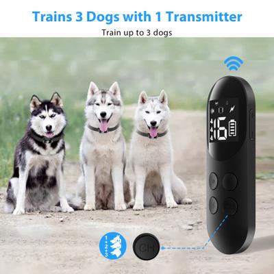 Show full view: Petdiary Rechargeable & Waterproof Electric Dog Training Collar, Black slide 7 of 10