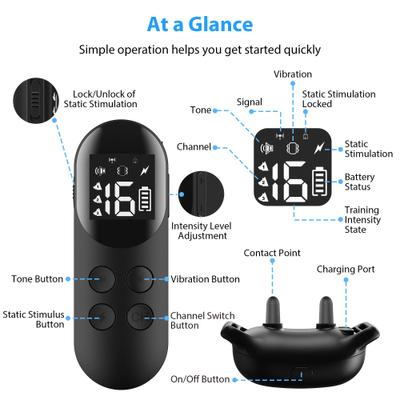 Show full view: Petdiary Rechargeable & Waterproof Electric Dog Training Collar, Black slide 8 of 10
