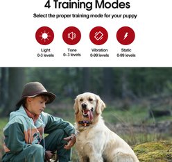 Petdiary Remote Training Shock Dog Collar, Small, Black & Orange, 2 count slide 2 of 9