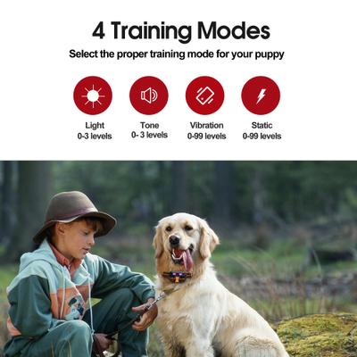 Show full view: Petdiary Remote Training Shock Dog Collar, Small, Black & Orange, 2 count slide 2 of 11