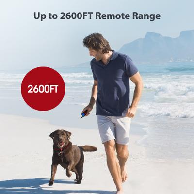 Show full view: Petdiary Remote Training Shock Dog Collar, Small, Black & Orange, 2 count slide 3 of 11