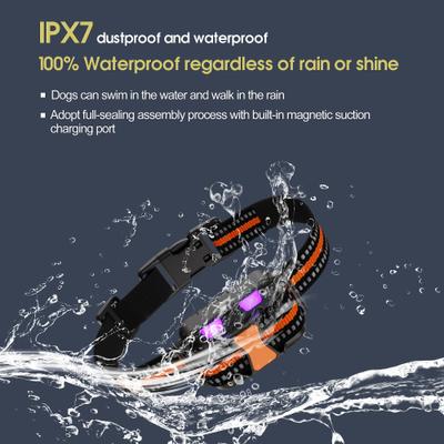 Show full view: Petdiary Remote Training Shock Dog Collar, Small, Black & Orange, 2 count slide 4 of 11