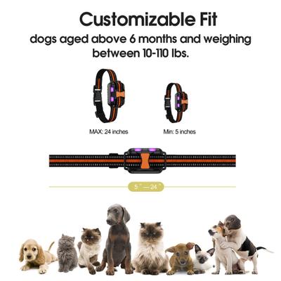 Show full view: Petdiary Remote Training Shock Dog Collar, Small, Black & Orange, 2 count slide 6 of 11