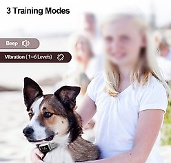 Petdiary Smart Bark Dog Bark Collar with Touch Screen, Small, Light Gray slide 2 of 8