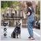 Show in main carousel: Petdiary Smart Bark Waterproof Dog Bark Collar, Black slide 3 of 12