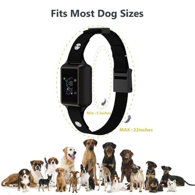 Show full view: Petdiary Smart Bark Waterproof Dog Bark Collar, Black slide 9 of 12