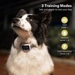 Show in main carousel: Petdiary Smart Touch Screen Rechargeable Dog Bark Collar, White slide 2 of 10
