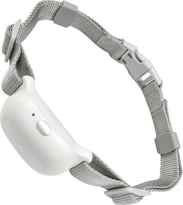 Show full view: Petdiary T200 Dog Extra Collar Receiver, White slide 3 of 3
