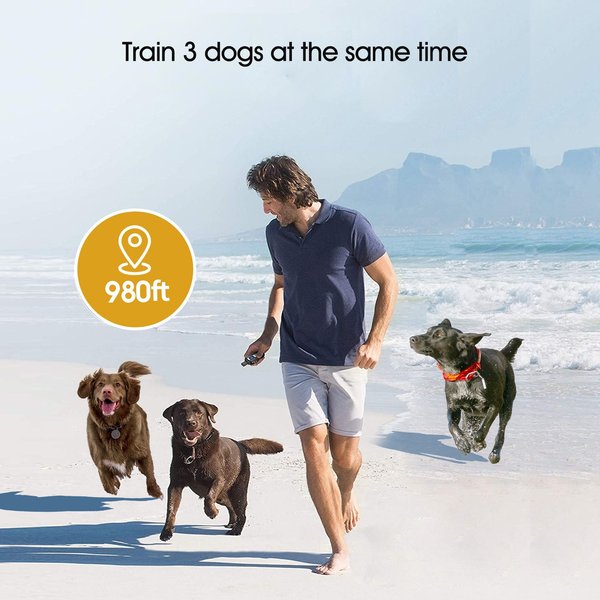 Show full view: Petdiary Rechargeable & Waterproof Electric Dog Training Collar, White slide 5 of 10