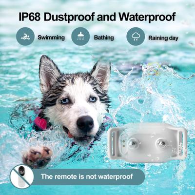 Show full view: Petdiary Rechargeable & Waterproof Electric Dog Training Collar, White slide 6 of 10
