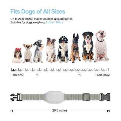 Show full view: Petdiary Rechargeable & Waterproof Electric Dog Training Collar, White slide 7 of 10