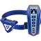 Show in main carousel: Petdiary T240 Static Remote Rechargeable Dog Training Collar, Blue, Small slide 1 of 9